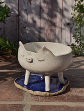 Cargar imagen en el visor de la galería, Maceta Chancho + Plato laguna