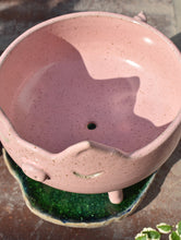 Cargar imagen en el visor de la galería, Maceta Chancho + Plato laguna