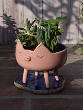 Cargar imagen en el visor de la galería, Maceta Chancho + Plato laguna